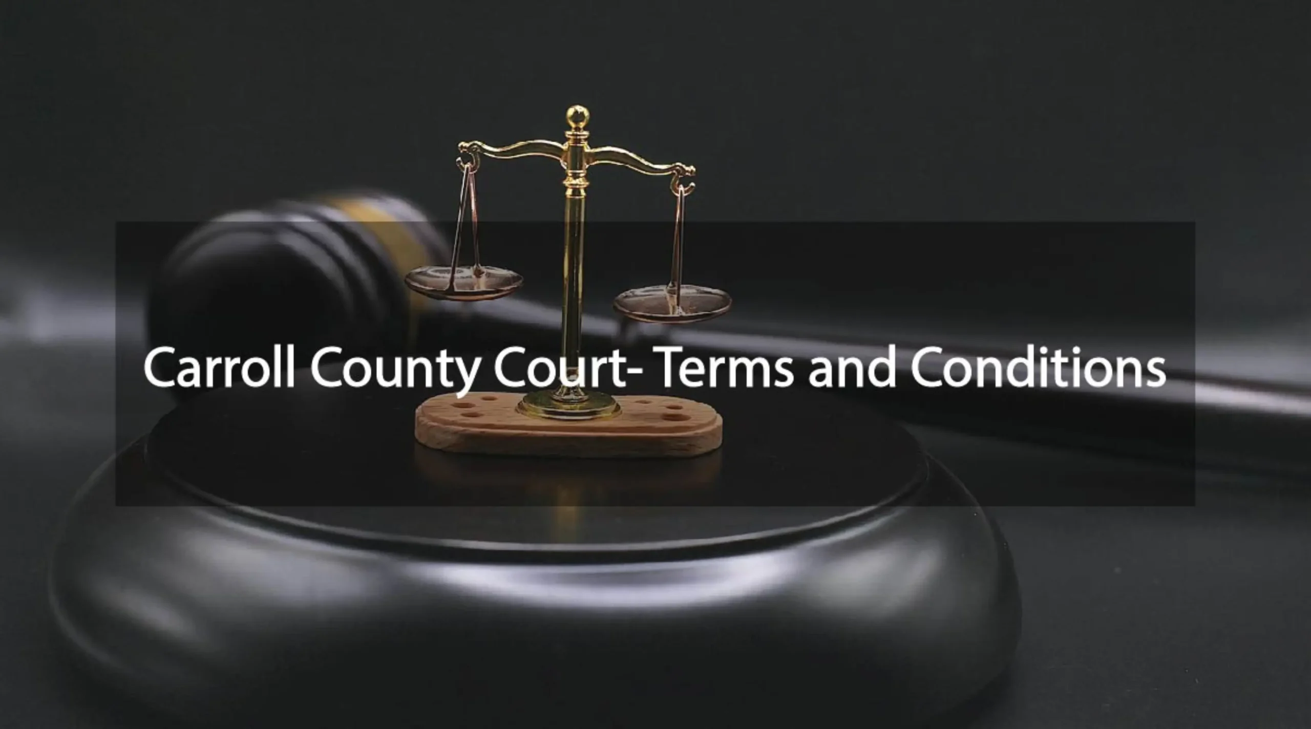 Terms and Conditions